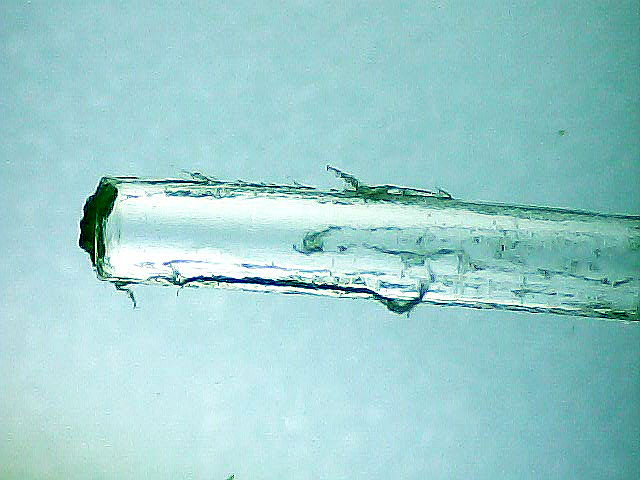 Polymerfaser (POF) unter dem Mikroskop